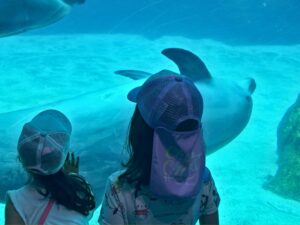 名古屋港水族館へ行こう🐬