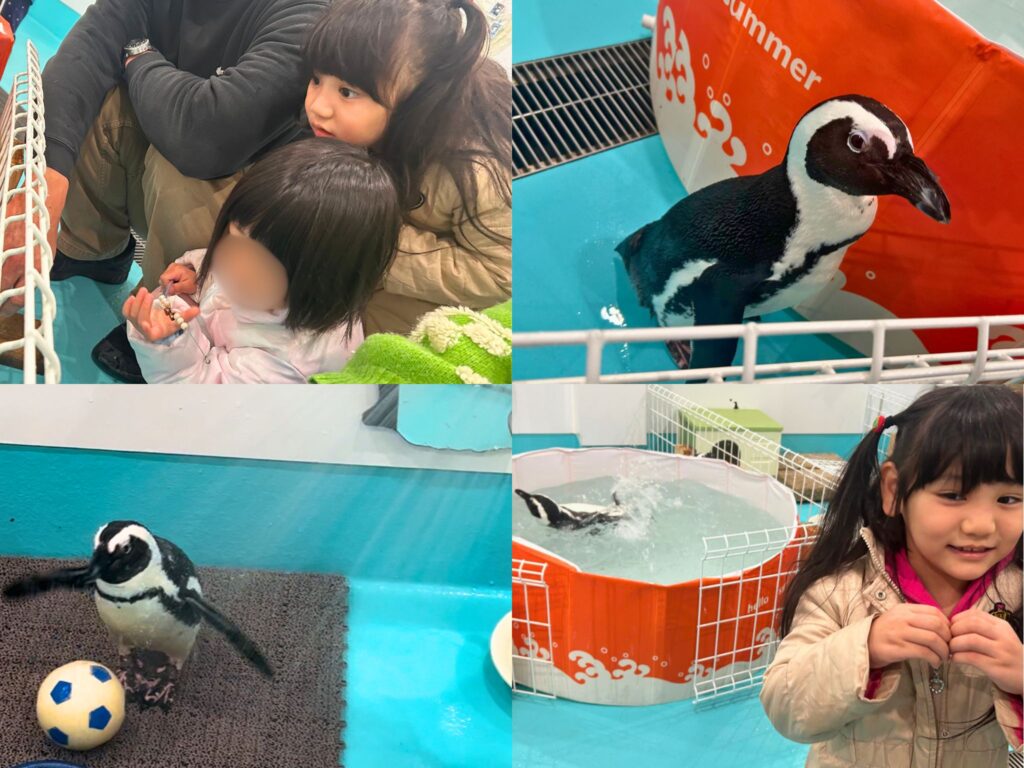 ペンギンカフェ テイル🐧へお出かけ