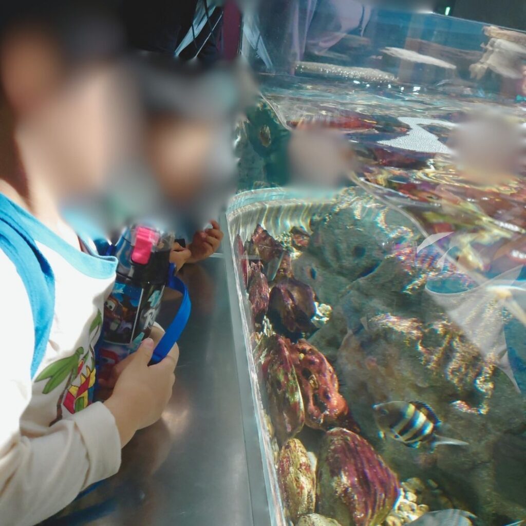 ゆったり楽しむ水族館♪海の生きものに癒されて🐟