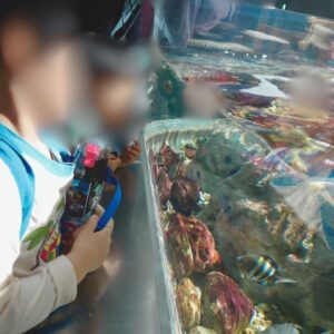 ゆったり楽しむ水族館♪海の生きものに癒されて🐟