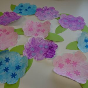 紫陽花を咲かせよう！